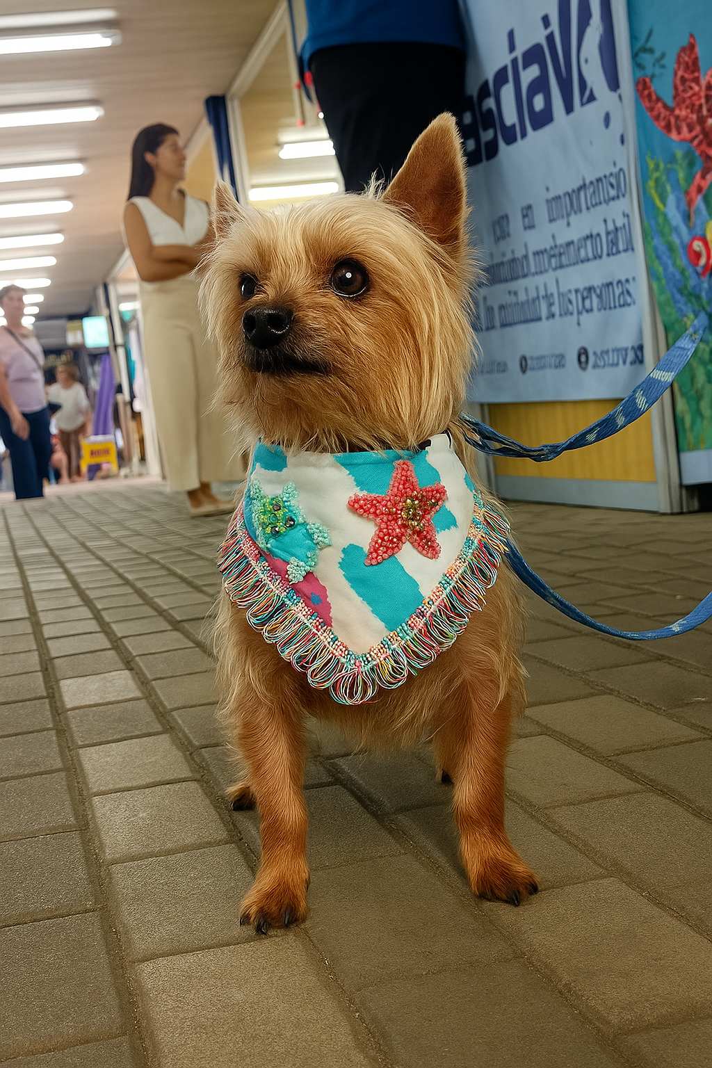 Pañoleta artesanal para mascotas || Marina